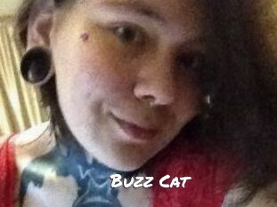 Buzz_Cat