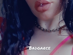 Badgarce