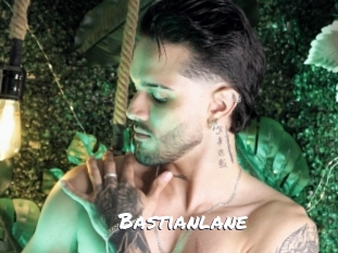 bastianlane Ochranne Siete