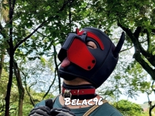 belac96 Ochranne Siete
