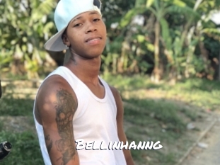 bellinhanng Ochranne Siete