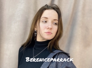 bereniceparrack Ochranne Siete