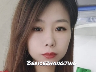 bericezhangjing Ochranne Siete
