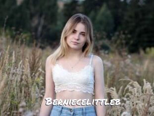 Berniecelittleb