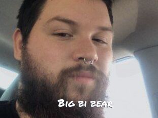 Big_bi_bear