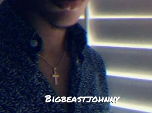 Bigbeastjohnny
