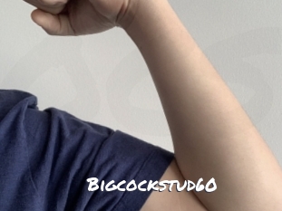 bigcockstud60 Ochranne Siete
