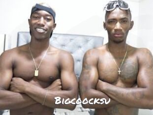 Bigcoocksu