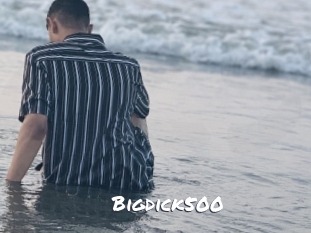Bigdick500