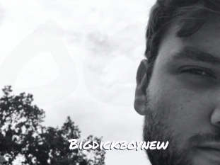 Bigdickboynew