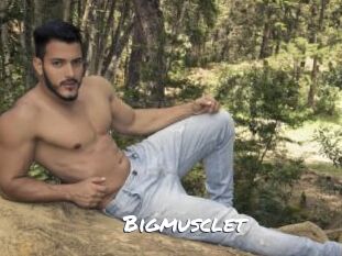 Bigmusclet