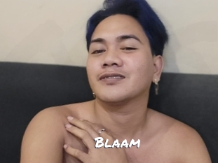 Blaam