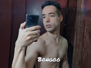 Bongoo
