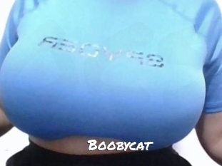 Boobycat