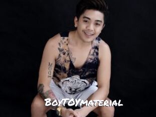 BoyTOYmaterial