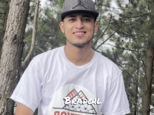 Bradgil