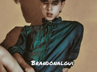 brandonalgui Ochranne Siete