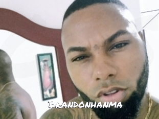 brandonhanma Ochranne Siete