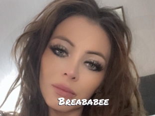 breababee Ochranne Siete