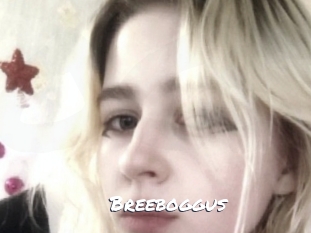 Breeboggus