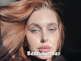 breedensford Ochranne Siete
