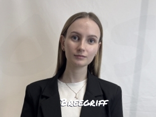 Breegriff