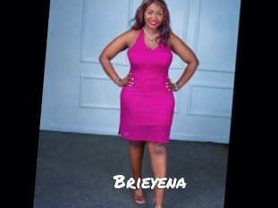 brieyena Ochranne Siete