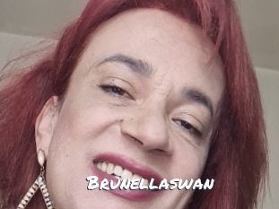 brunellaswan Ochranne Siete