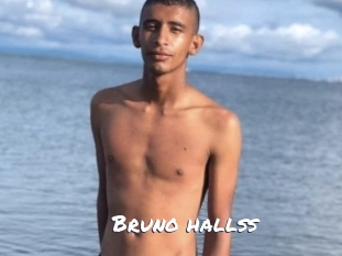 bruno_hallss Ochranne Siete