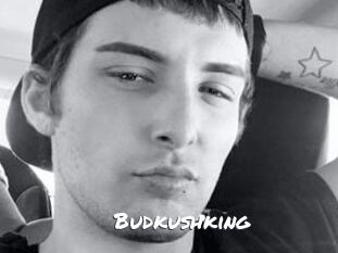 Budkushking