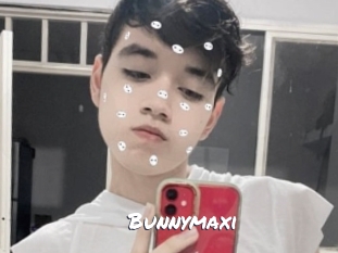 Bunnymaxi