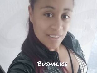 Bushalice