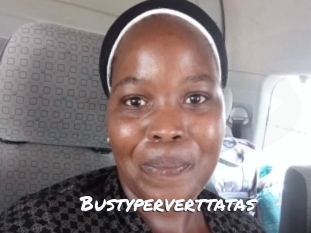 Bustyperverttatas
