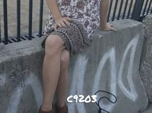 C9203 Ochranne Siete