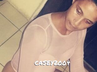 CASEY2004