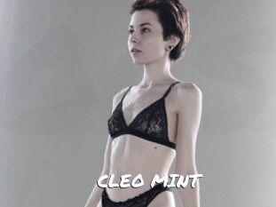 CLEO_MINT