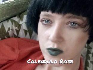 Calendula_Rose