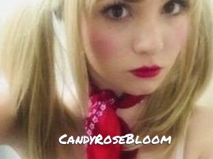 CandyRoseBloom