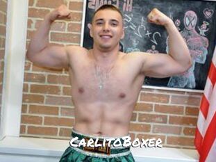 CarlitoBoxer