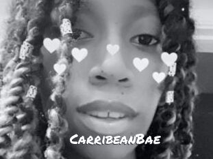CarribeanBae Ochranne Siete