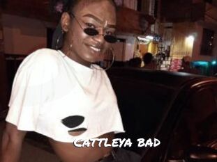Cattleya_bad