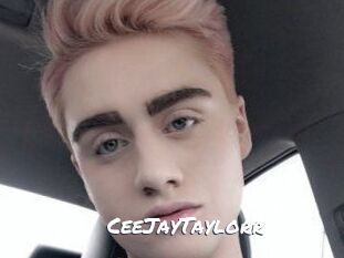 CeeJayTaylorr