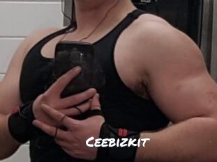 Ceebizkit