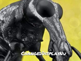 ChangedDisplayNu