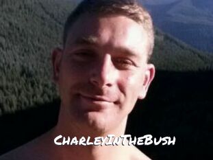 CharleyInTheBush