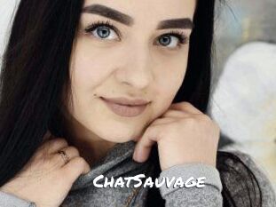 ChatSauvage Ochranne Siete