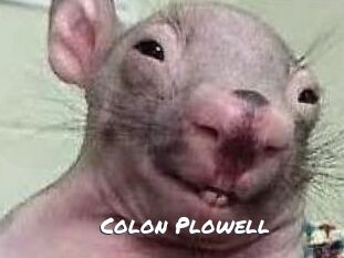 Colon_Plowell