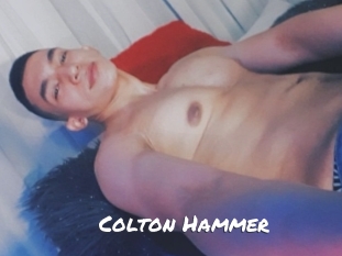 Colton_Hammer