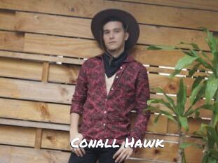 Conall_Hawk
