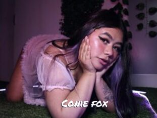 Conie_fox